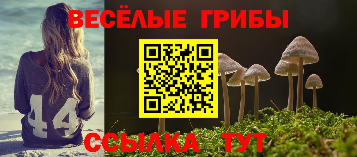 Галлюциногенные грибы мицелий  Галлюциногенные грибы мухоморы  Вход с VPN  Можга 